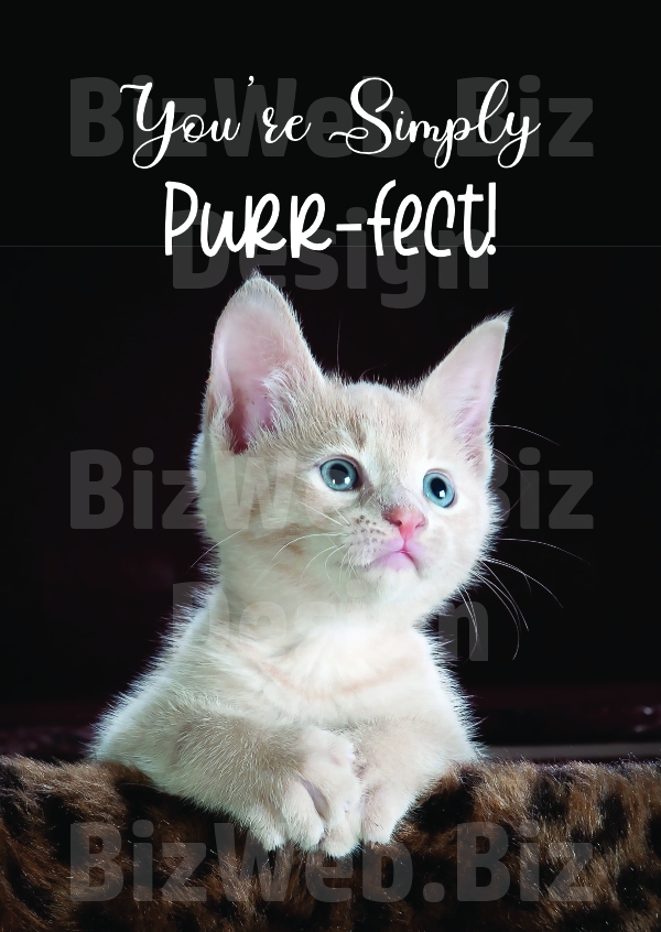 Cute cat poster